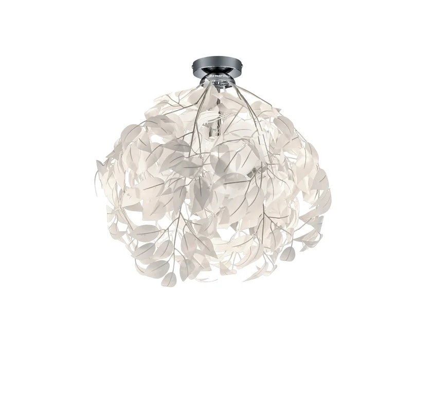 braun-moebel1164861