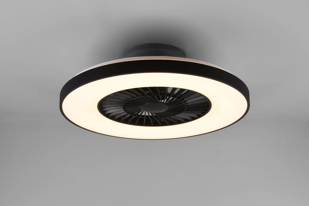 braun-moebel1165842