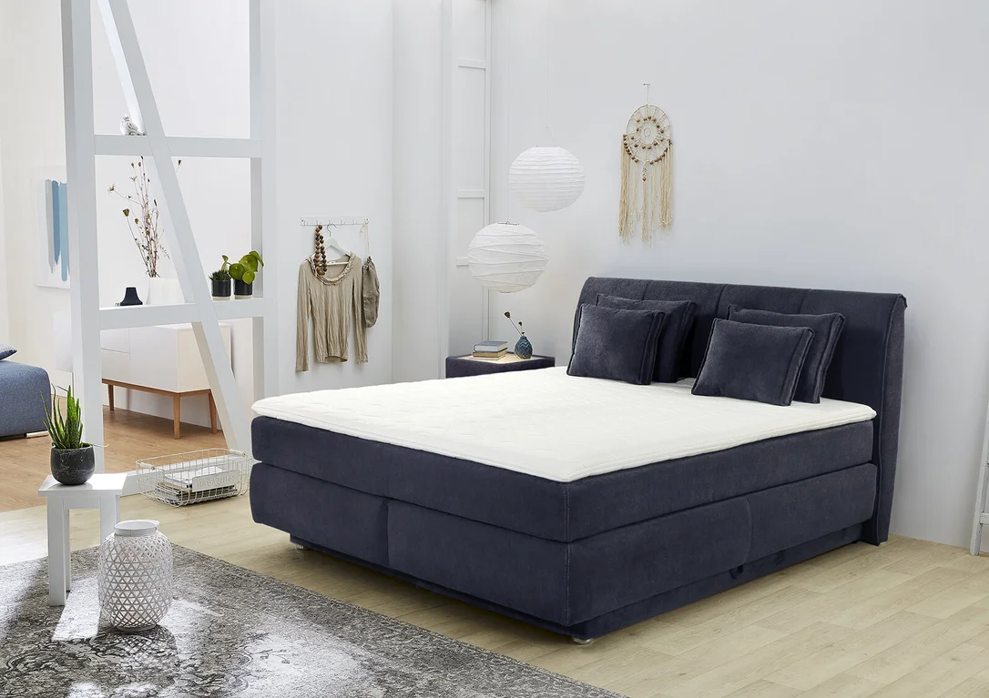 braun-moebel1210559