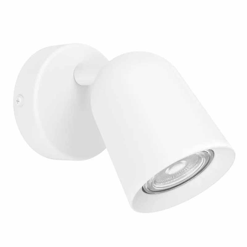 braun-moebel1239350